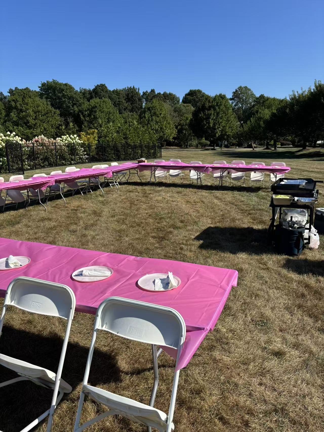 Backyard birthday hibachi setup on the lawn